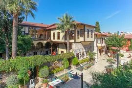 Alp Pasa Genel Görünüm