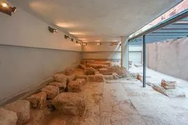 Alp Pasa Genel Görünüm