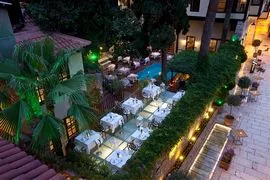 Alp Pasa Genel Görünüm